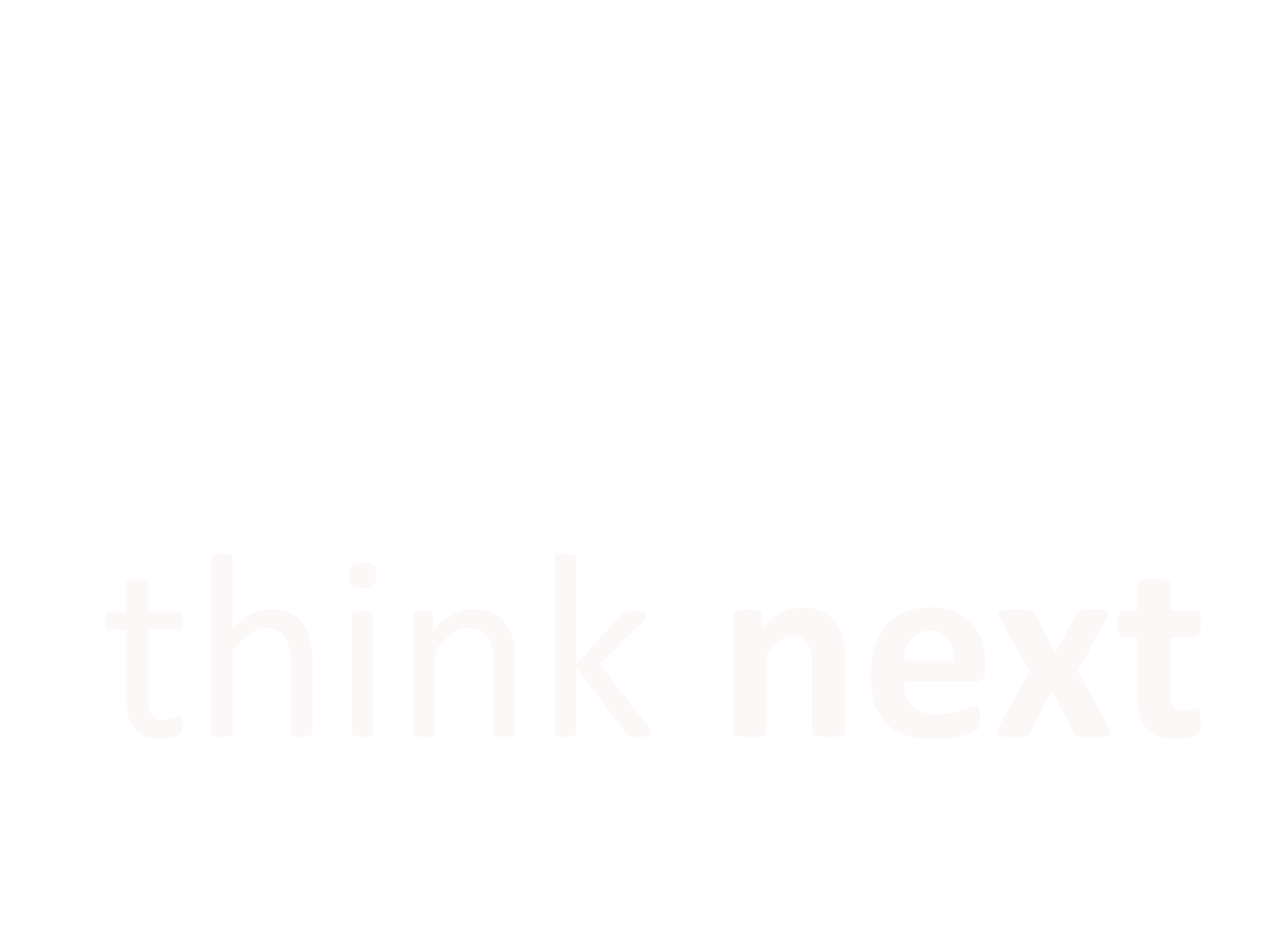 logo Think Next White