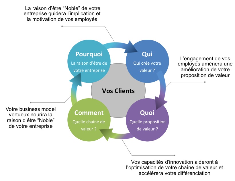 vitruous circle